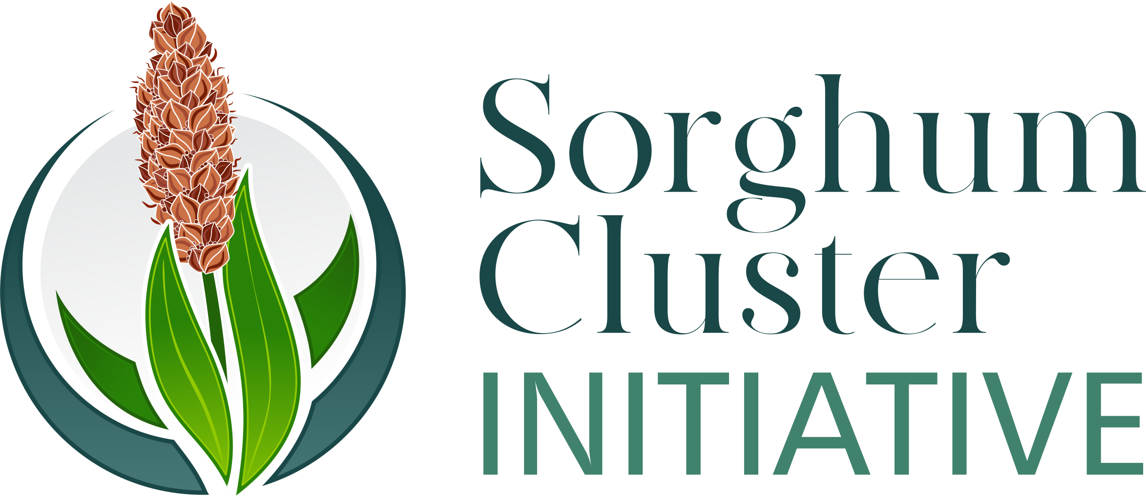 Sorghum Cluster Inititiative Transparent